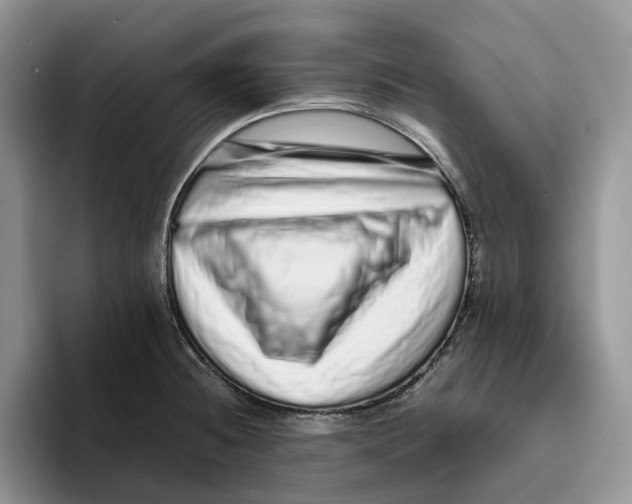 X0000093531236200711091752
