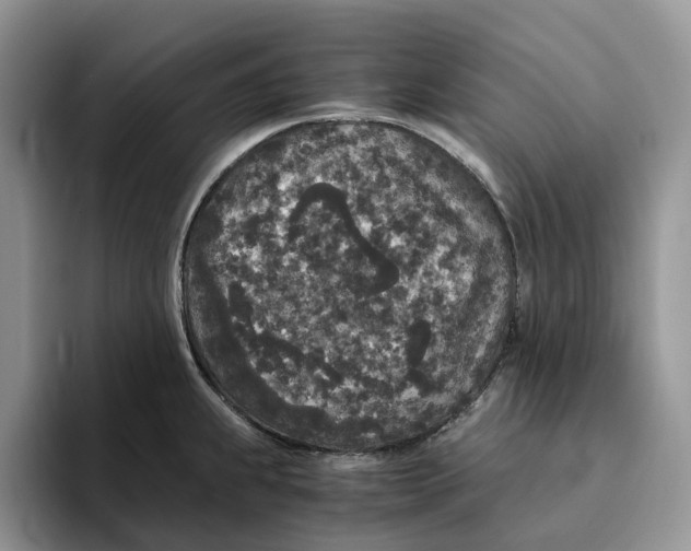 X0000093531239200711091752