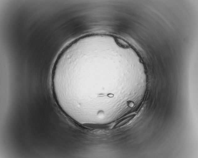 X0000093531240200711091752