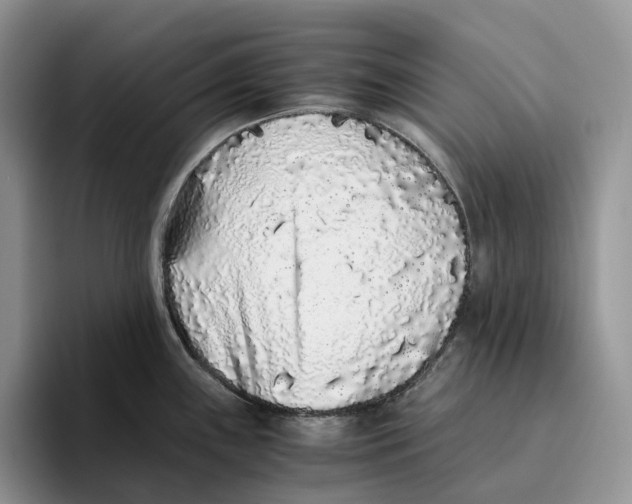 X0000093531243200711091752