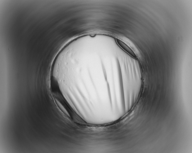 X0000093531244200711091752