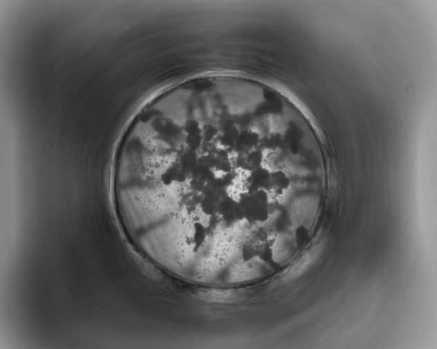 X0000093531245200711091752