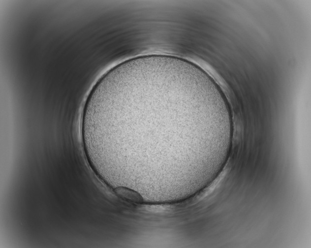 X0000093531246200711091752