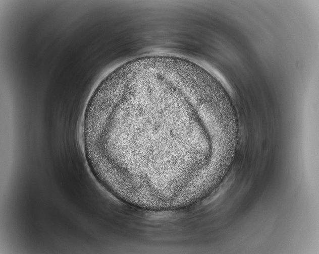 X0000093531247200711091752