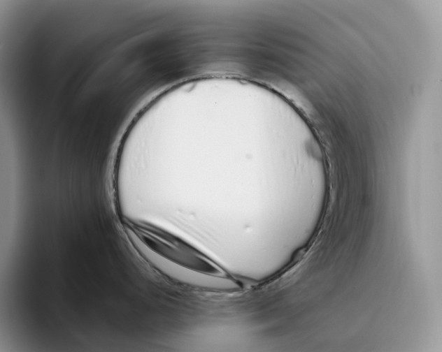 X0000093531248200711091752