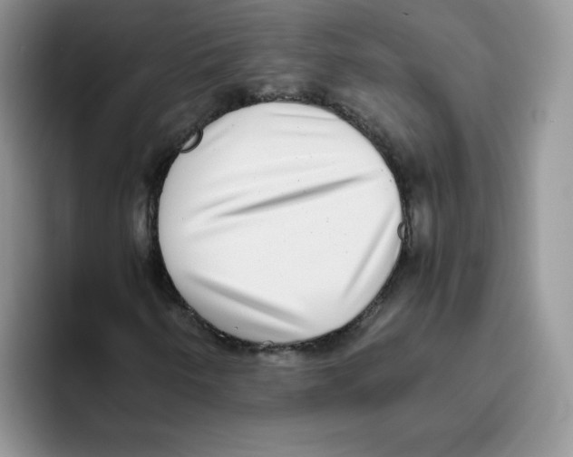 X0000093531250200711091751