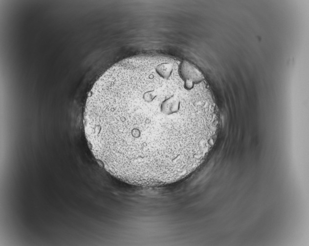 X0000093531251200711091751