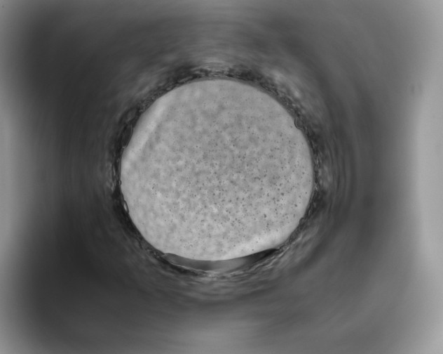 X0000093531253200711091751