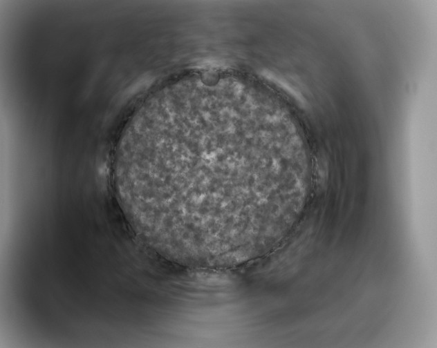 X0000093531254200711091751