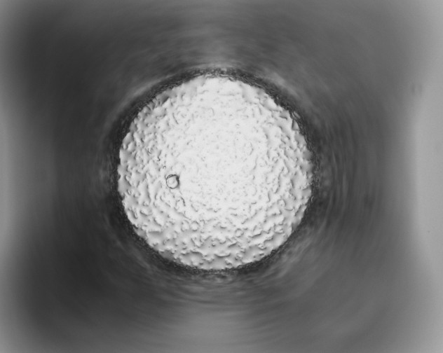 X0000093531255200711091751