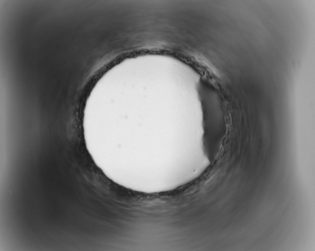 X0000093531256200711091751