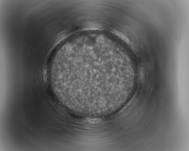 X0000093531258200711091751