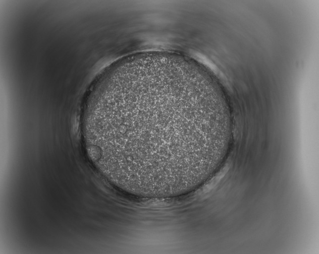 X0000093531259200711091751