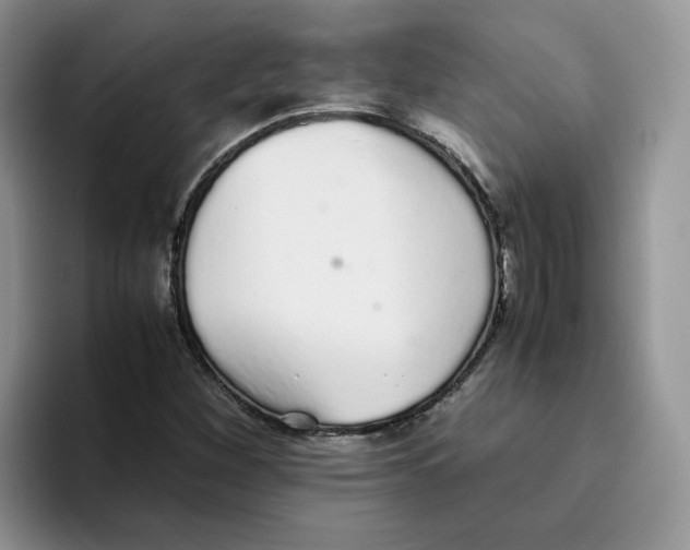 X0000093531260200711091751