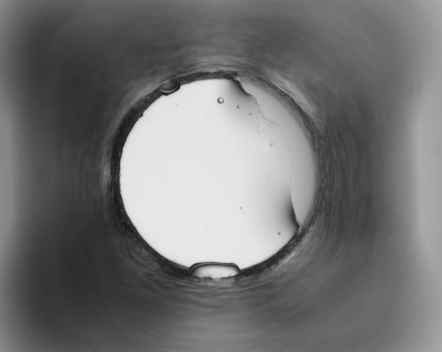 X0000093531261200711091751