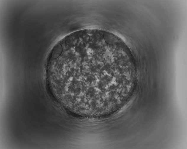 X0000093531263200711091751