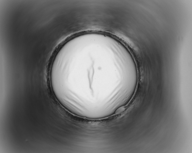 X0000093531264200711091751