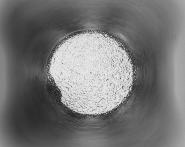 X0000093531267200711091751