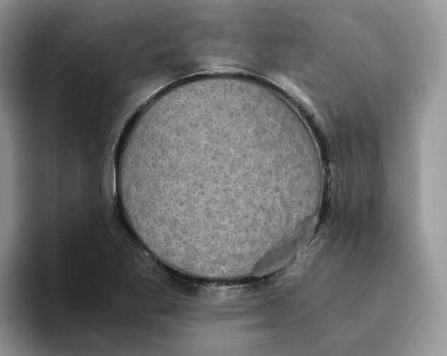 X0000093531269200711091751