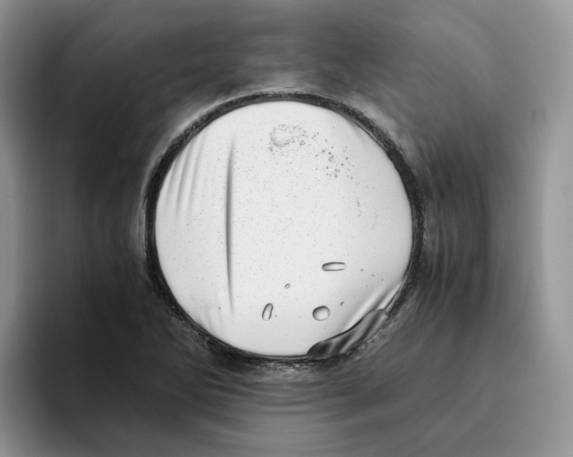 X0000093531270200711091751