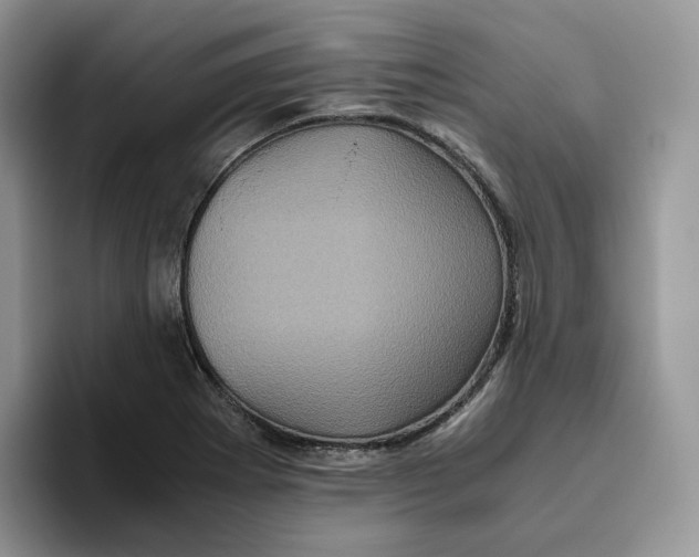 X0000093531273200711091751