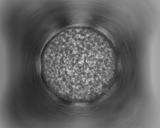 X0000093531274200711091751