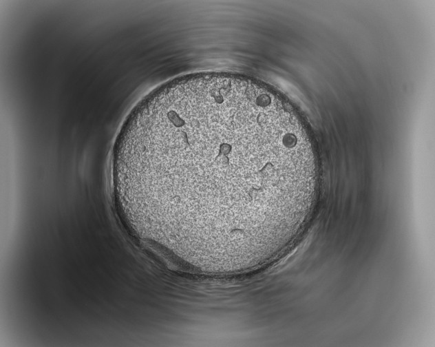 X0000093531275200711091751