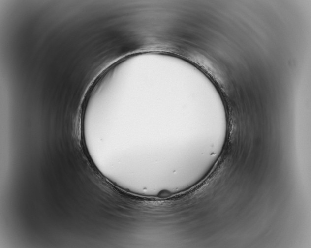 X0000093531276200711091751