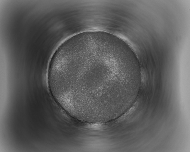 X0000093531278200711091751