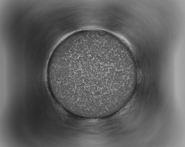 X0000093531279200711091751