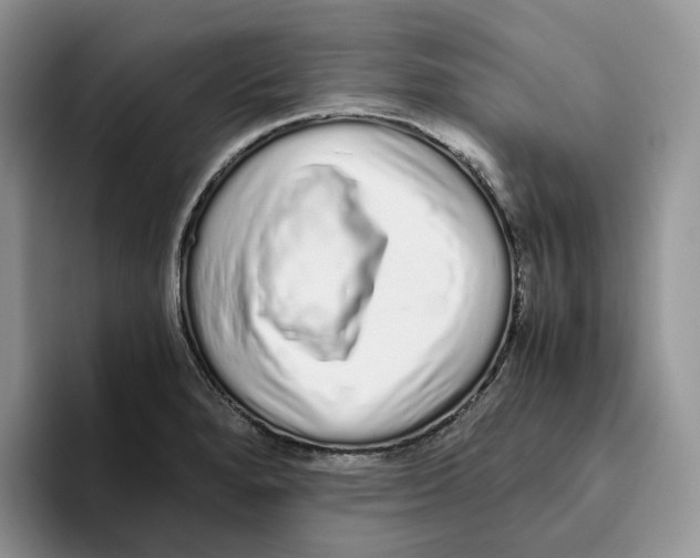 X0000093531280200711091751