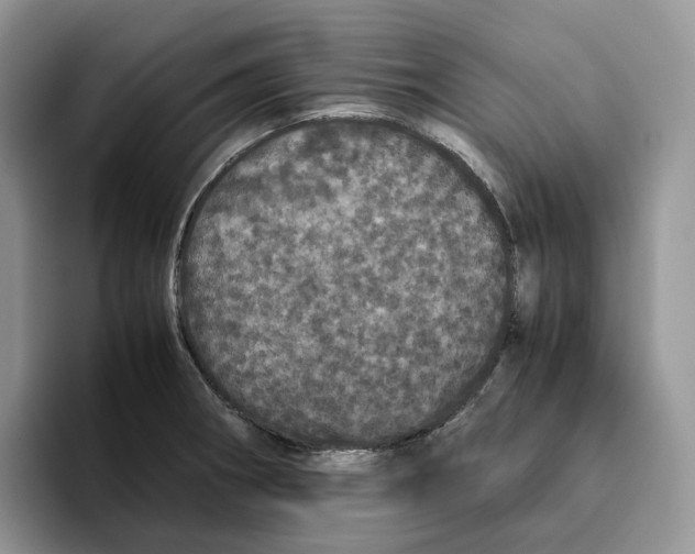 X0000093531282200711091751