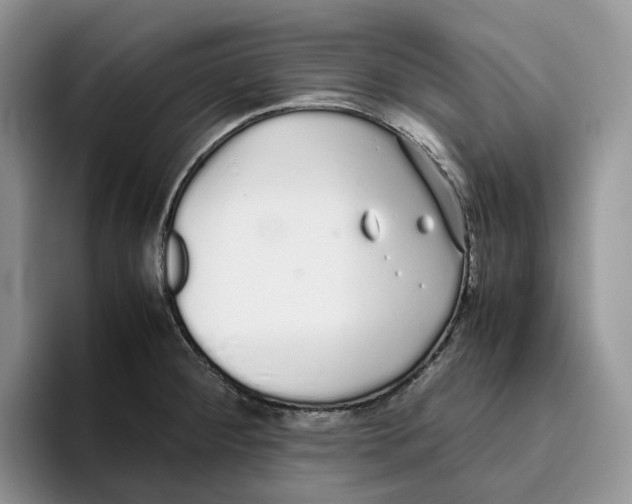 X0000093531284200711091751