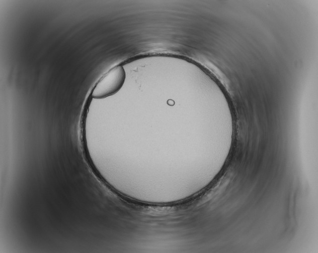 X0000093531285200711091751