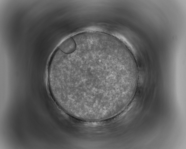 X0000093531286200711091751
