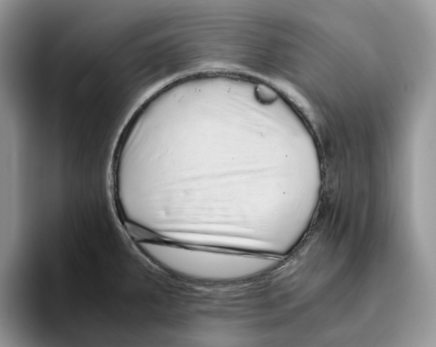 X0000093531287200711091751