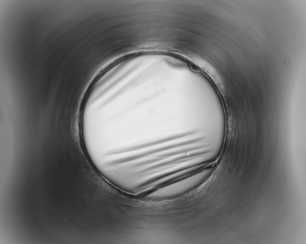 X0000093531288200711091751
