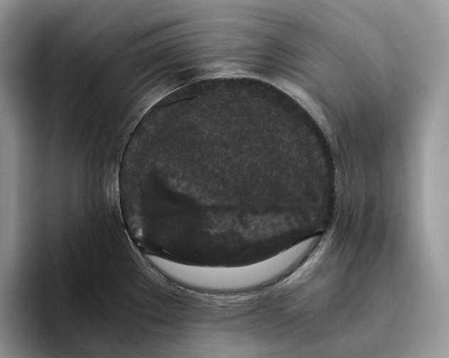 X0000093531289200711091751