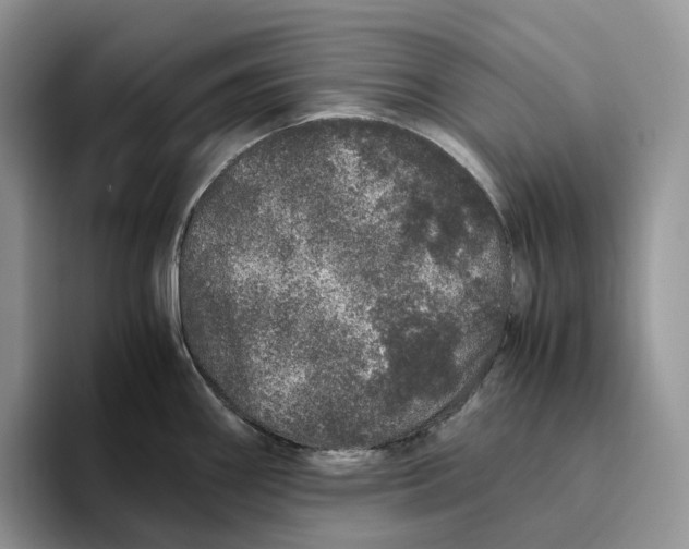 X0000093531290200711091751