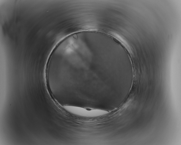 X0000093531291200711091751