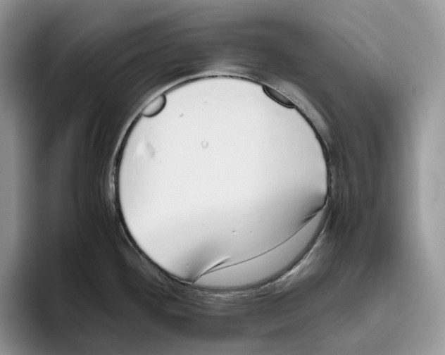 X0000093531292200711091751