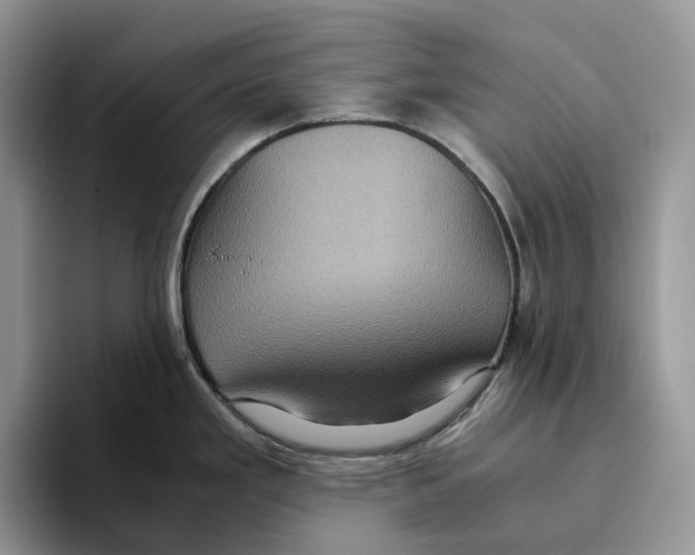 X0000093531293200711091751