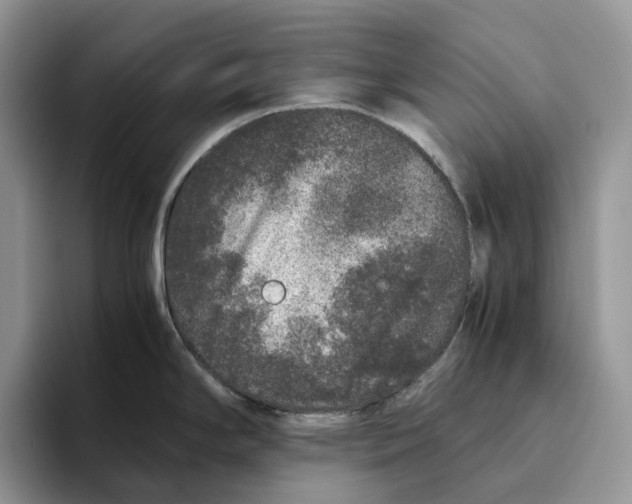 X0000093531294200711091751