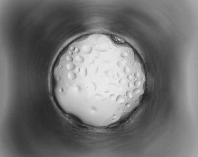 X0000093531295200711091751