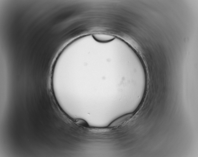 X0000093531296200711091751