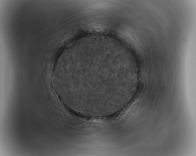 X0000093531297200711091750