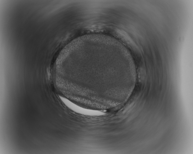 X0000093531298200711091750