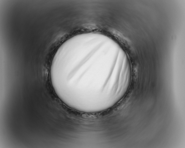 X0000093531302200711091750