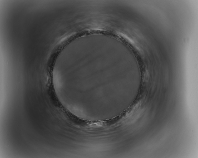 X0000093531303200711091750