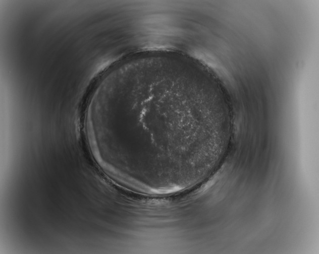 X0000093531306200711091750